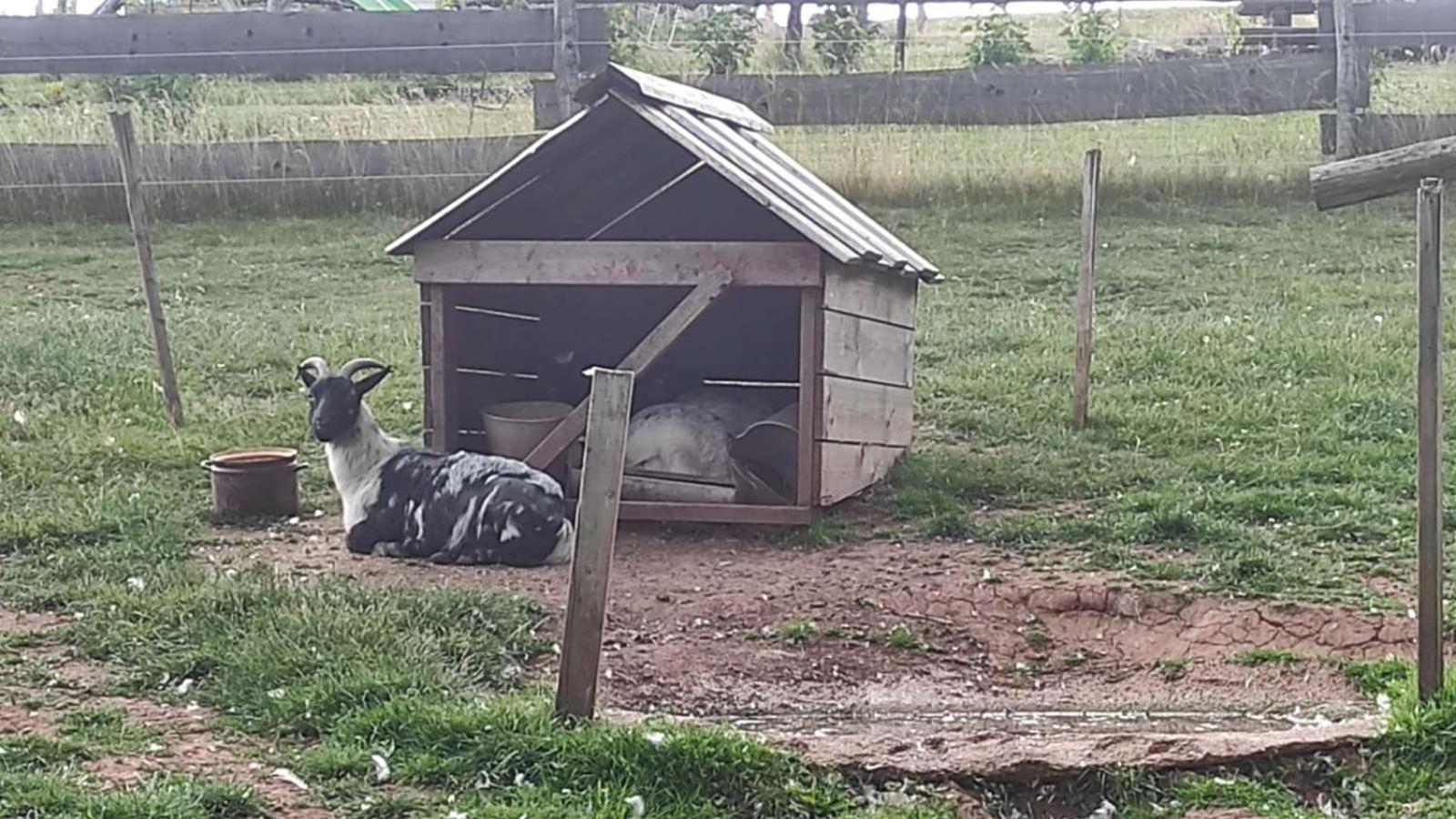 Ferienwohnung Apartman Na Statku Červený Kostelec Exterior foto