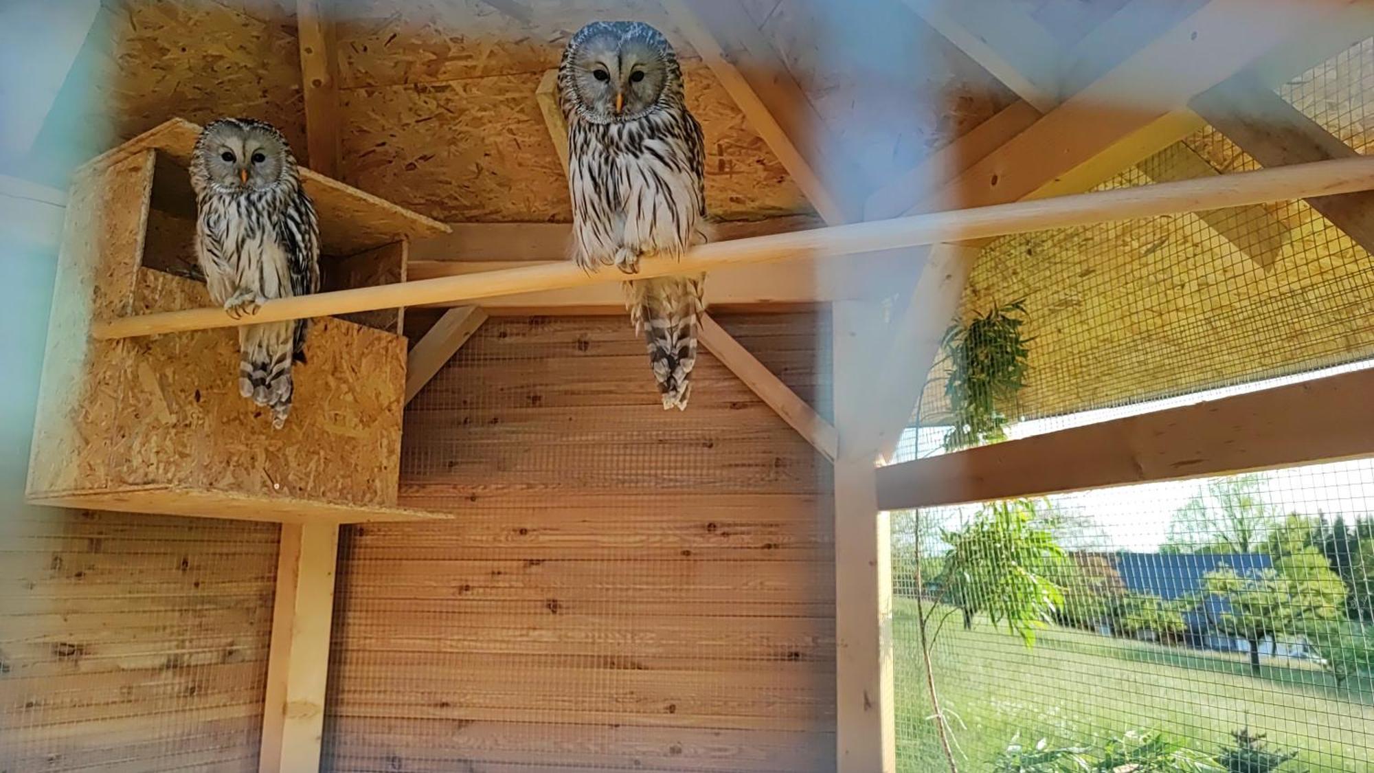 Ferienwohnung Apartman Na Statku Červený Kostelec Exterior foto